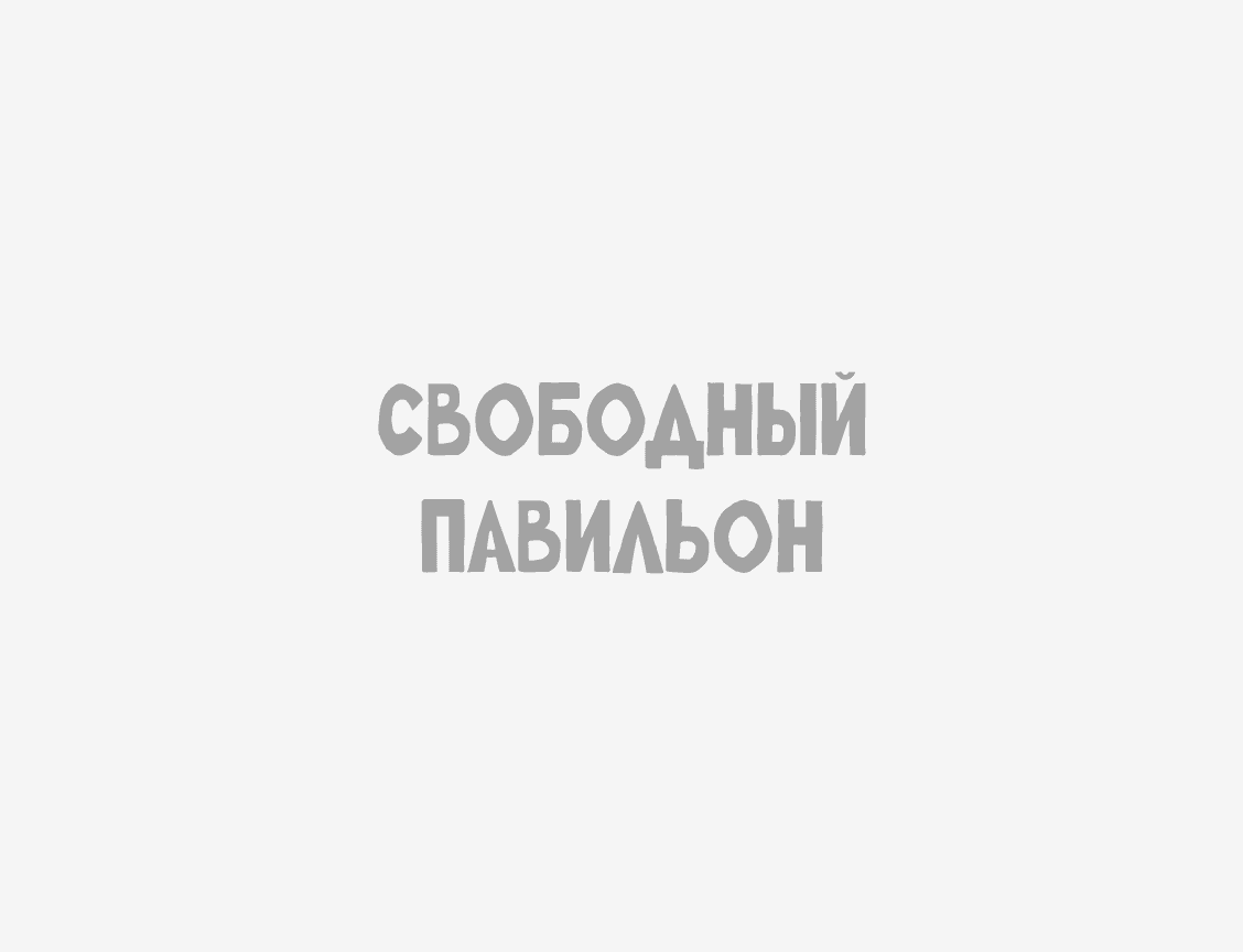 Логотип Свободный павильон